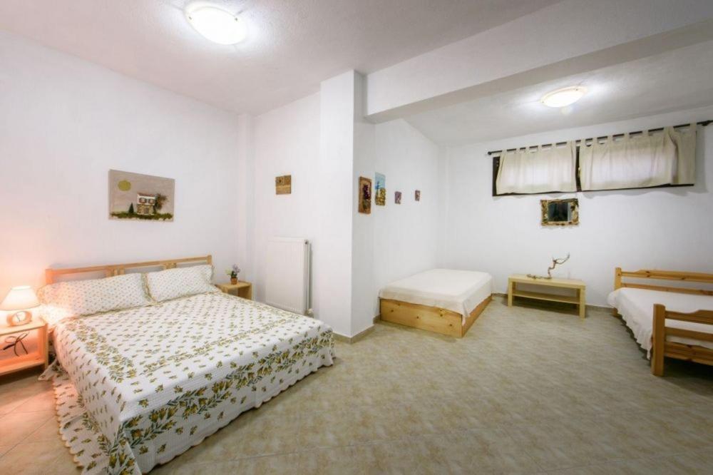 Katevi Luxury Seafront Villa 伊里斯斯 外观 照片